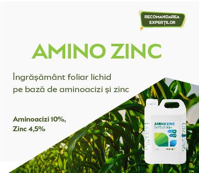 Amino Zinc Amino Zinc